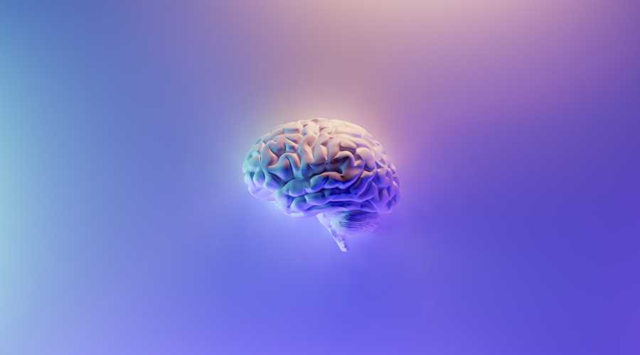 cérebro e os novos tratamentos do alzheimer